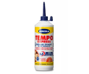 TEMPO-EXPRESS