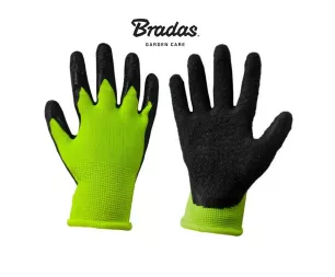 bradas-rwdle5