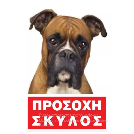 ΠΡΟΣΟΧΗ-ΣΚΥΛΟΣ