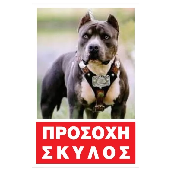ΠΡΟΣΟΧΗ-ΣΚΥΛΟΣ234