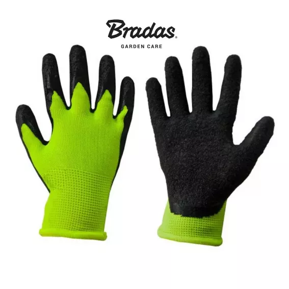 bradas-rwdle5