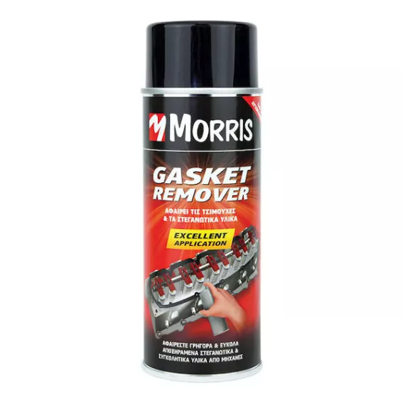 gasket remover