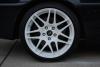 plasti dip white